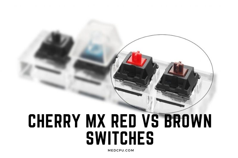 Cherry MX Red vs Brown Switches