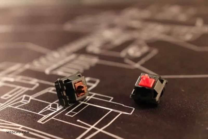 Red vs Brown Switches FAQs